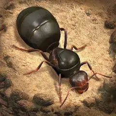 Скачать The Ants: Underground Kingdom [MOD Бесконечные деньги] + [MOD Меню] на Андроид