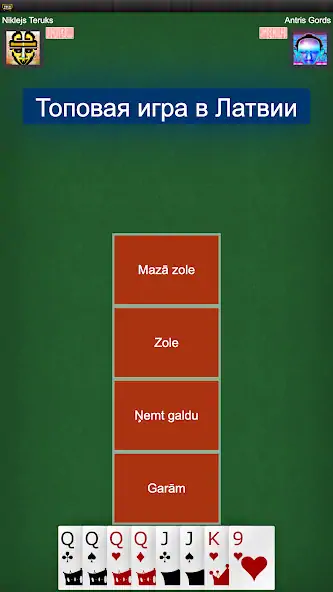 Скачать Игра в карты Золе: RaccoonZole [MOD Много монет] на Андроид