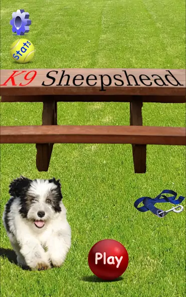 Скачать K9 Sheepshead (Schafkopf) [MOD Много монет] на Андроид