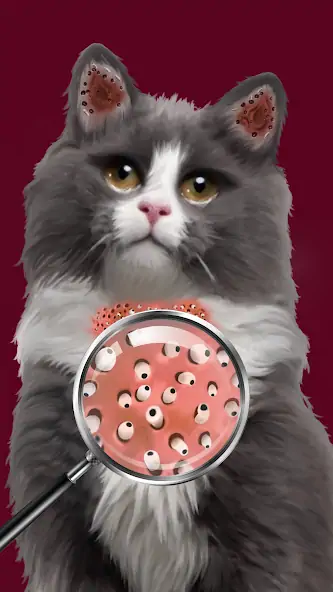 Скачать Cat Salon: Makeover ASMR [MOD Бесконечные монеты] на Андроид