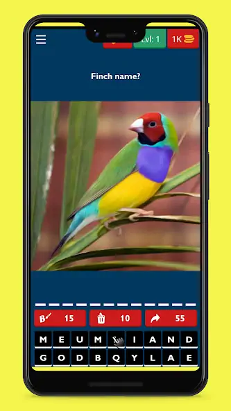 Скачать Bird Guess Fun Feather Trivia [MOD Бесконечные деньги] на Андроид