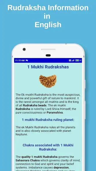 Скачать Rudraksha Information [Разблокированная версия] на Андроид