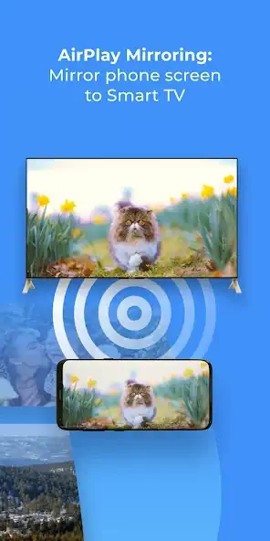 Скачать AirPlay: TV Screen Mirroring [Разблокированная версия] на Андроид