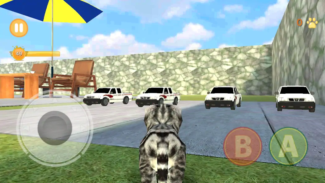 Скачать Котенок Кошка Симулятор 3D [MOD Много денег] на Андроид