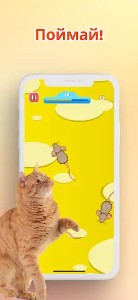 Скачать Игра для котов - Мышки и Рыбки [MOD Много денег] на Андроид