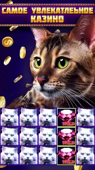 Скачать Casino Joy - Слоты [MOD Бесконечные монеты] на Андроид