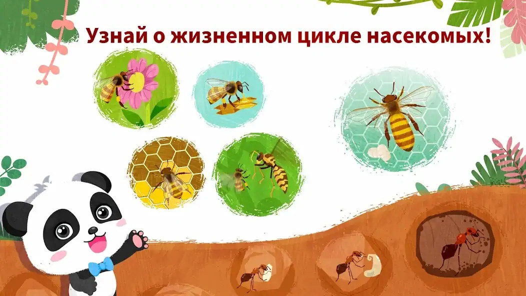 Скачать Мир насекомых с мал. пандой [MOD Много денег] на Андроид