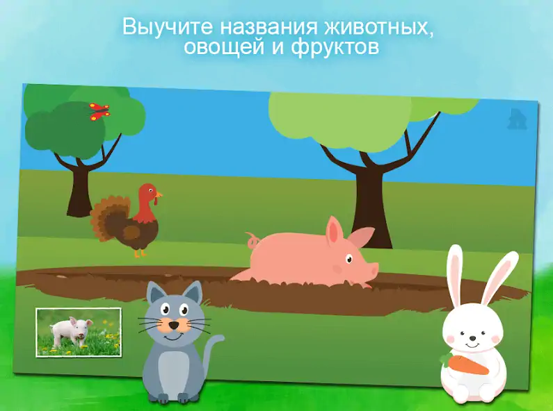 Скачать Животные - игра для малышей [MOD Бесконечные монеты] на Андроид