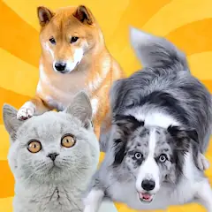 Скачать Real Pets by Fruwee [MOD Бесконечные монеты] + [МОД Меню] на Андроид