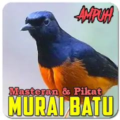 Скачать Suara Murai Batu Gacor Ampuh [Премиум версия] на Андроид