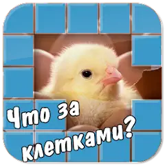 Скачать Угадай что за клетками! [MOD Бесконечные деньги] + [MOD Меню] на Андроид