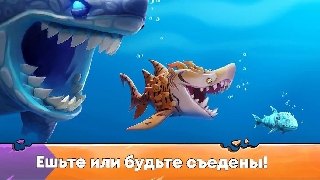 Скачать Hungry Shark Evolution: акула [MOD Бесконечные деньги] на Андроид