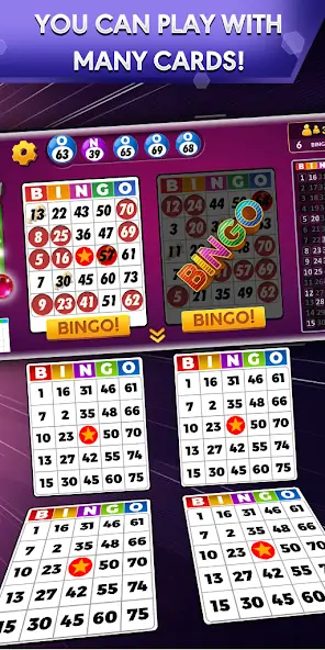 Скачать Bingo — офлайн-игры Bingo [MOD Бесконечные деньги] на Андроид