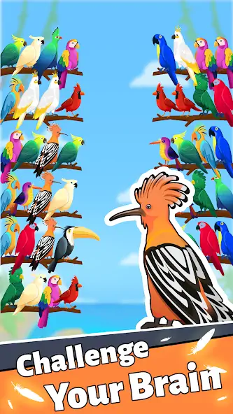 Скачать Сортировка по цвету птицы [MOD Бесконечные деньги] на Андроид