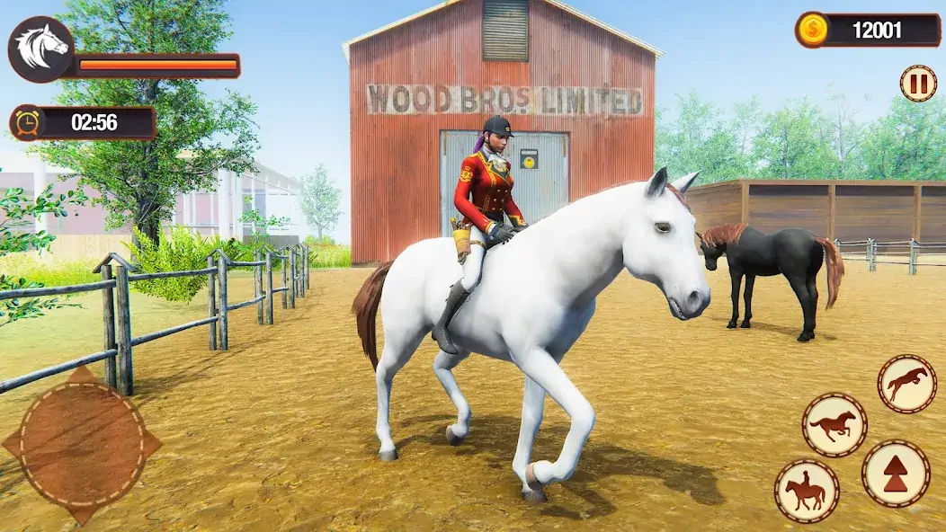 Скачать My Horse Herd Care Simulator [MOD Бесконечные деньги] на Андроид