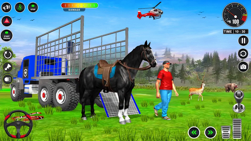 Скачать Animals Transport Truck Game [MOD Много монет] на Андроид