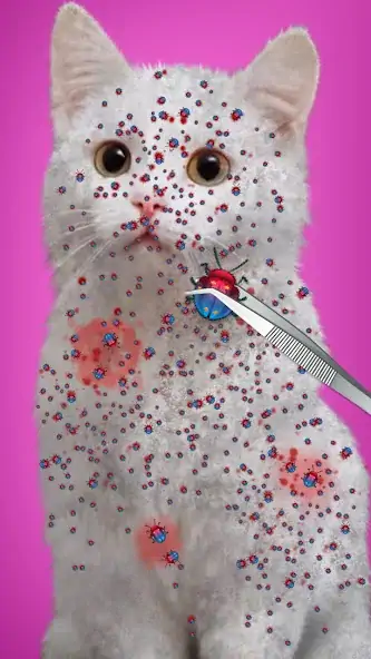Скачать Virtual Cat ASMR Spa Makeover [MOD Бесконечные монеты] на Андроид