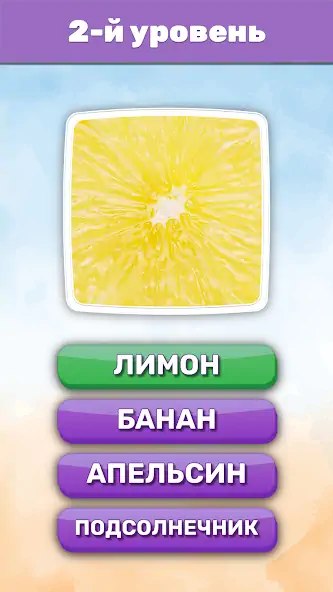 Скачать Что это? Викторина [MOD Много монет] на Андроид