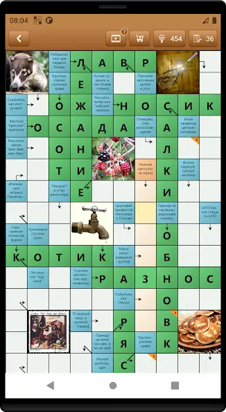 Скачать Сканворд Фан [MOD Много денег] на Андроид