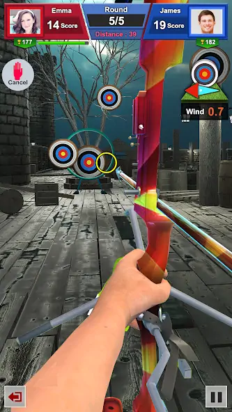 Скачать Archery Games: Bow and Arrow [MOD Много монет] на Андроид