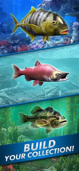 Скачать Ultimate Fishing! Fish Game [MOD Бесконечные монеты] на Андроид
