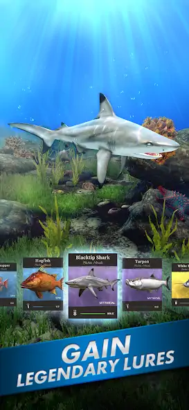 Скачать Ultimate Fishing! Fish Game [MOD Бесконечные монеты] на Андроид