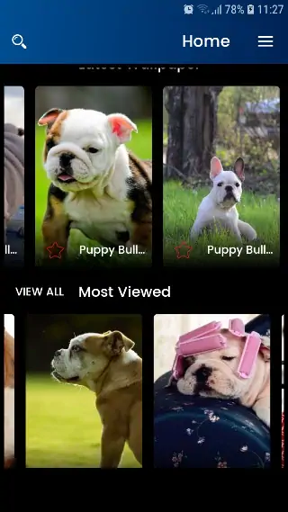 Скачать PUPPY BULLDOG WALLPAPER [Премиум версия] на Андроид