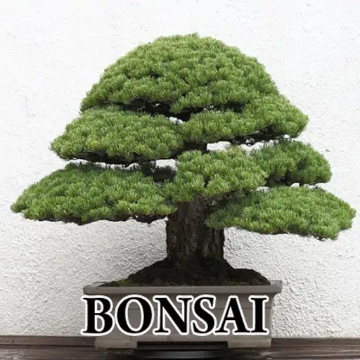 Скачать Bonsai Designs [Премиум версия] на Андроид