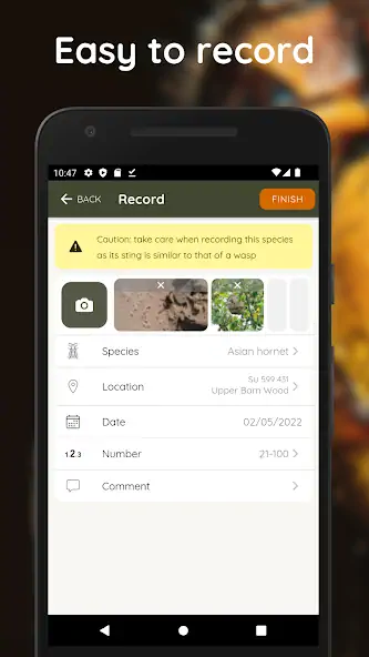 Скачать Asian Hornet Watch [Без рекламы] на Андроид