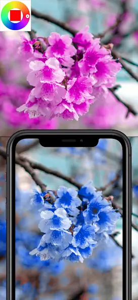 Скачать Color Changing Camera [Премиум версия] на Андроид