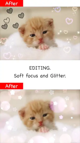Скачать GlitterEditor Lite [Премиум версия] на Андроид