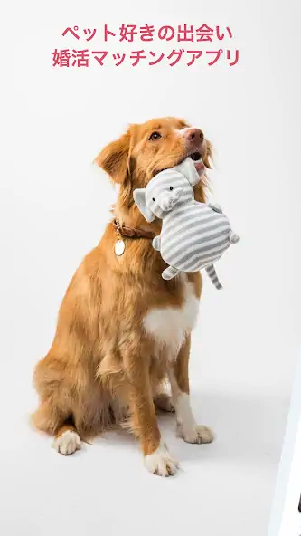 Скачать amor pet（アモル ペット）婚活・恋活マッチングアプリ [Без рекламы] на Андроид