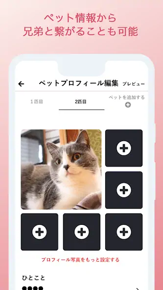 Скачать amor pet（アモル ペット）婚活・恋活マッチングアプリ [Без рекламы] на Андроид