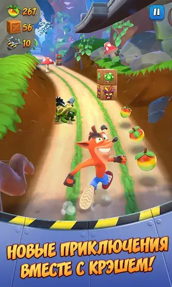 Скачать Crash Bandicoot: со всех ног! [MOD Бесконечные деньги] на Андроид