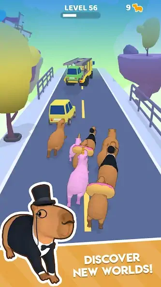 Скачать Capybara Rush [MOD Много монет] на Андроид