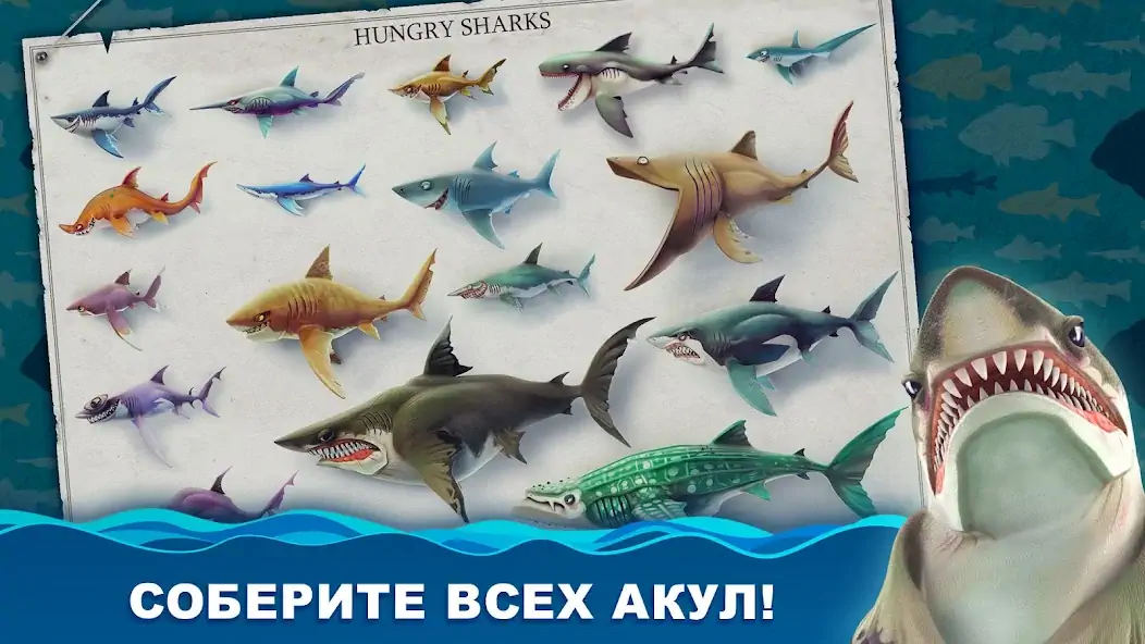 Скачать Hungry Shark World [MOD Бесконечные деньги] на Андроид