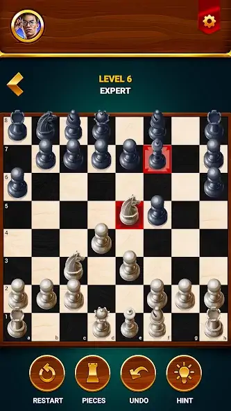 Скачать Шахматы - офлайн игра [MOD Много монет] на Андроид