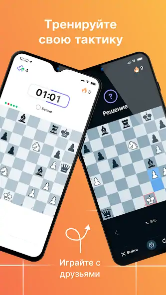 Скачать chess24 > Играй и Учись [MOD Бесконечные монеты] на Андроид