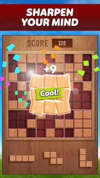 Скачать Woody 99 - Sudoku Block Puzzle [MOD Много денег] на Андроид