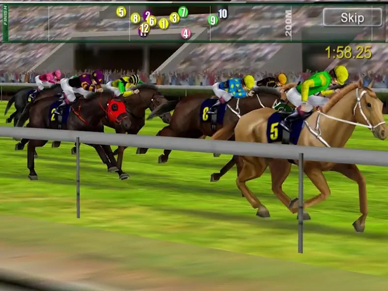 Скачать iHorse Betting on horse racing [MOD Бесконечные деньги] на Андроид