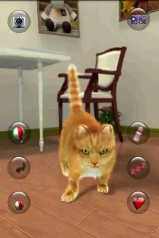 Скачать Говорящий симпатичный кот [MOD Много монет] на Андроид