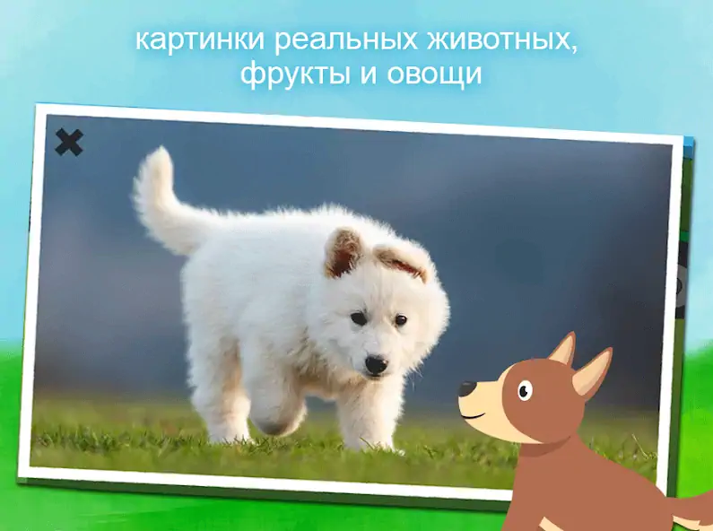 Скачать Животные - игра для малышей [MOD Бесконечные монеты] на Андроид