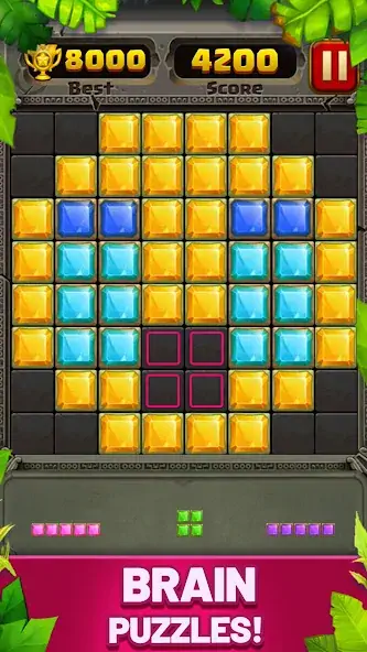 Скачать Block Puzzle Guardian [MOD Бесконечные деньги] на Андроид