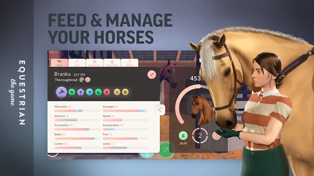 Скачать Equestrian the Game [MOD Много монет] на Андроид