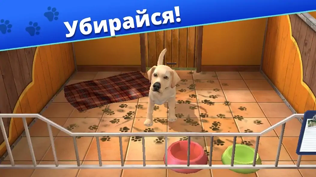 Скачать Pet World - приют для животных [MOD Бесконечные деньги] на Андроид