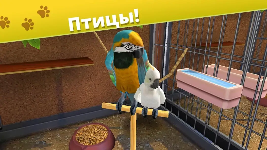 Скачать Pet World - приют для животных [MOD Бесконечные деньги] на Андроид
