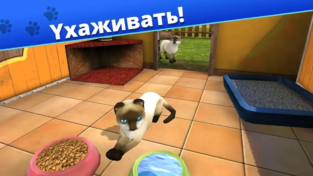 Скачать Pet World - приют для животных [MOD Бесконечные деньги] на Андроид