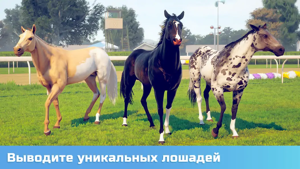 Скачать Состязание звезд: скачки [MOD Много денег] на Андроид