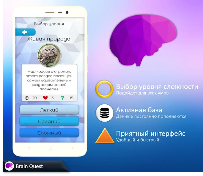 Скачать Brain Quest [MOD Бесконечные монеты] на Андроид