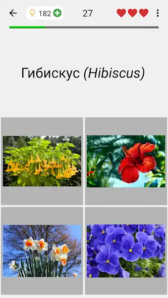 Скачать Цветы - Викторина по ботанике [MOD Много монет] на Андроид